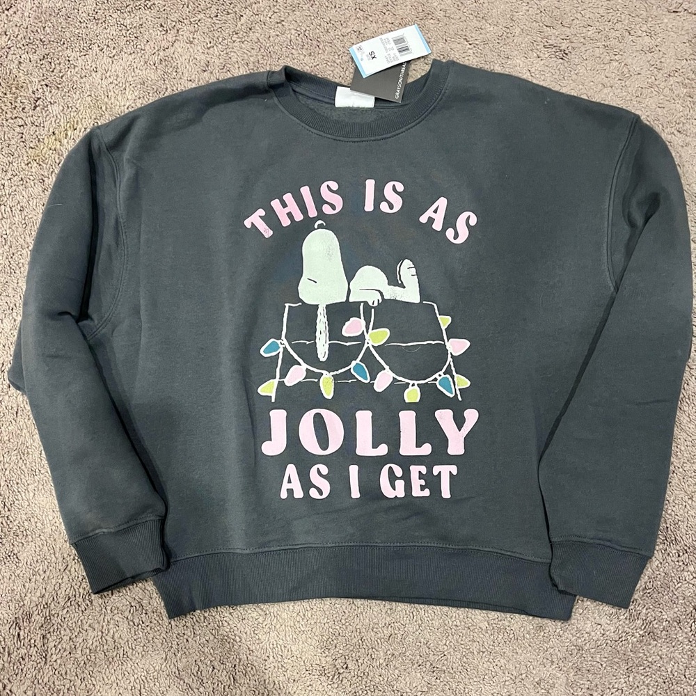 Grayson Threads Snoopy Holiday Sweatshirt in grey (XS)